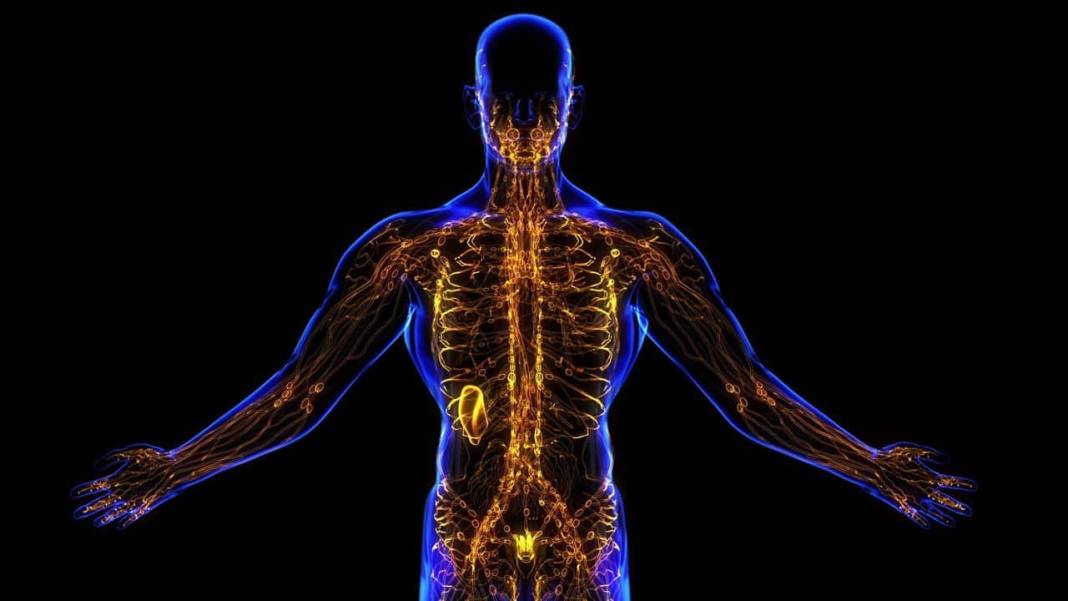 Kış aylarında çocuklarda bağışıklık sistemi nasıl korunur? İşte çocukların bağışıklık sistemine kalkan olacak tavsiyeler 6